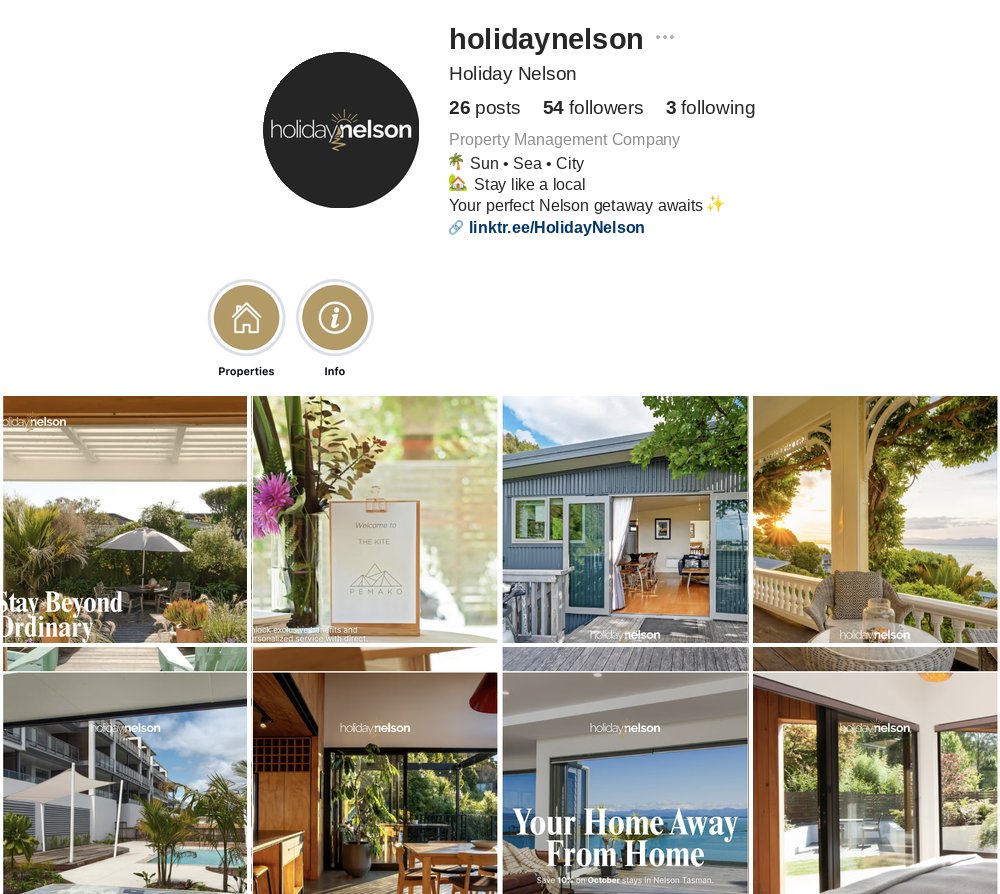 Holiday Nelson Instagram profile after optimisation — branded bio, highlight covers, styled grid