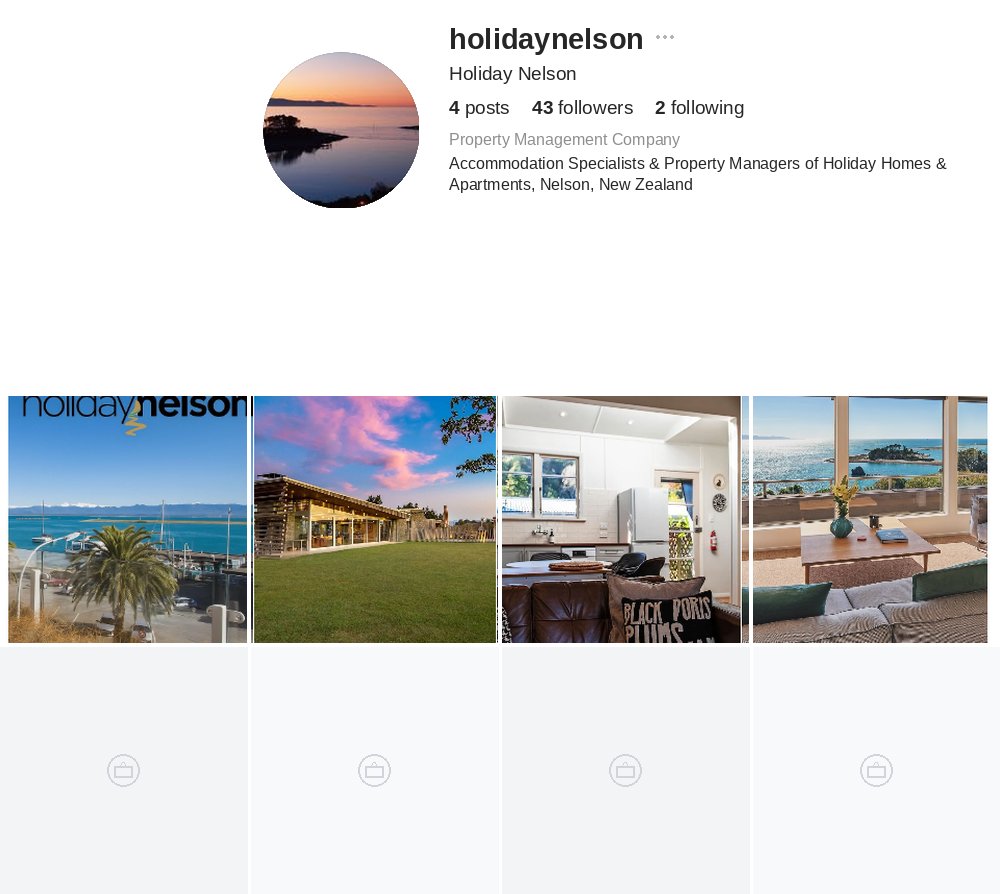 Holiday Nelson Instagram profile before optimisation — plain bio, 4 posts, no consistent branding