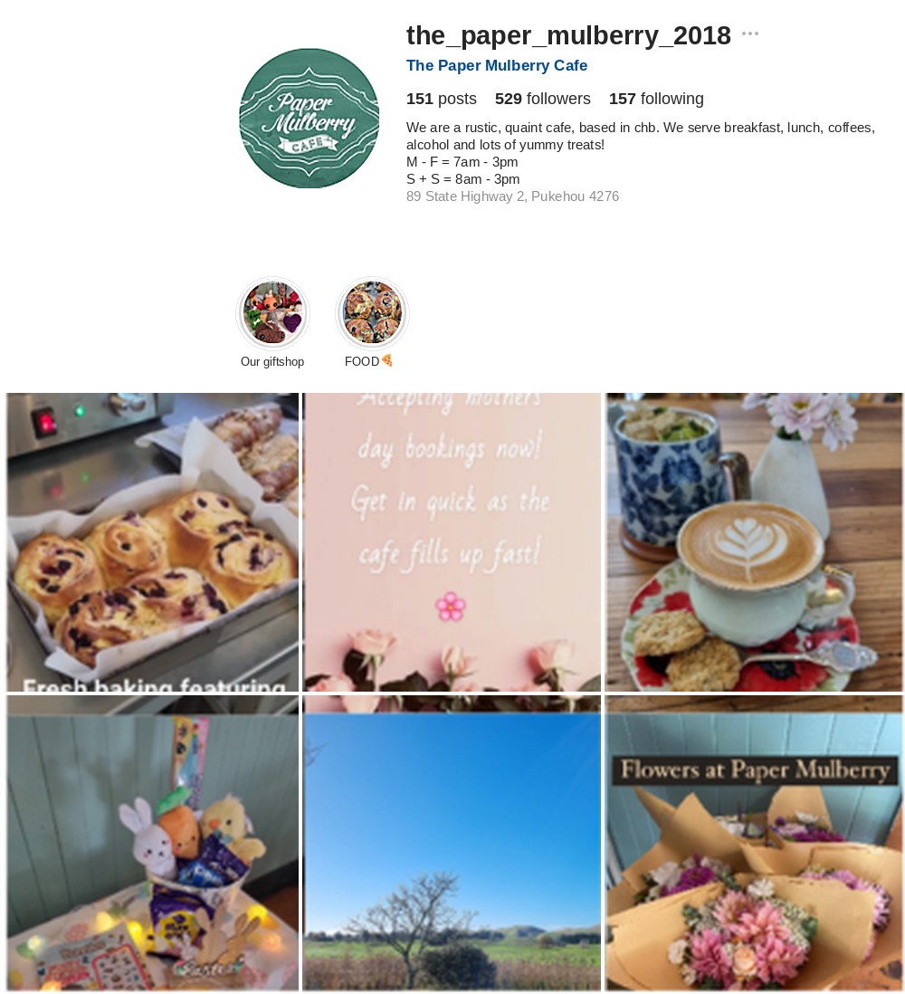 The Paper Mulberry Cafe Instagram profile before optimisation